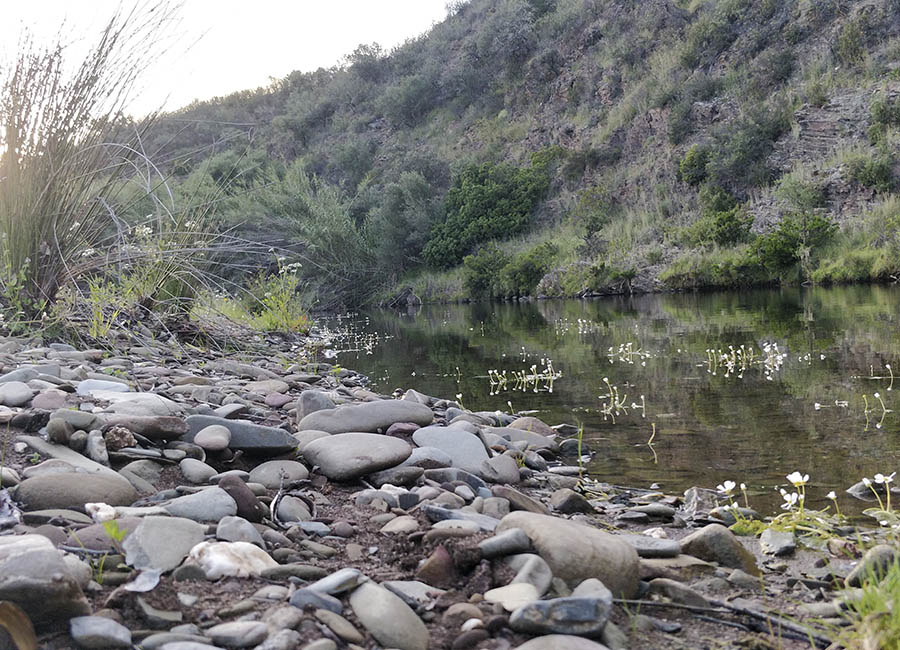 monte da ribeira cachopo